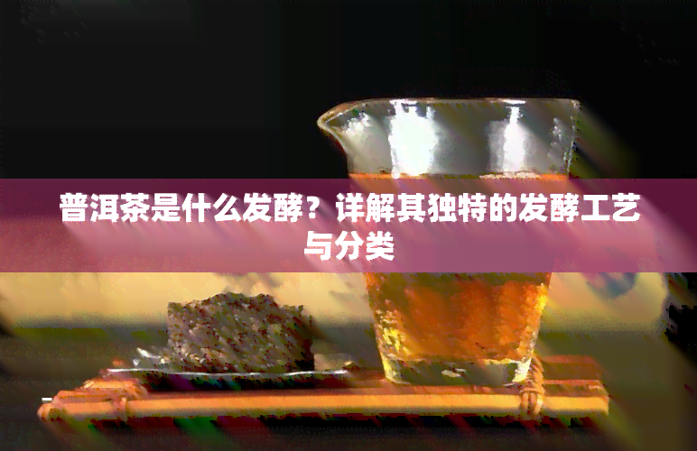 普洱茶是什么发酵？详解其独特的发酵工艺与分类