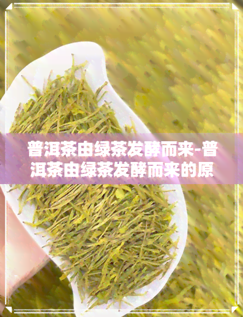 普洱茶由绿茶发酵而来-普洱茶由绿茶发酵而来的原因