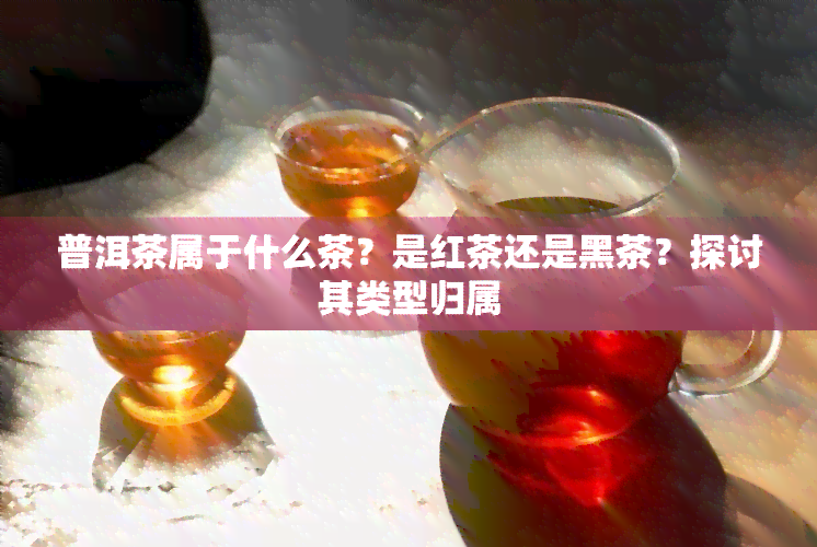 普洱茶属于什么茶？是红茶还是黑茶？探讨其类型归属