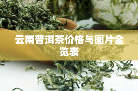 云南普洱茶价格与图片全览表