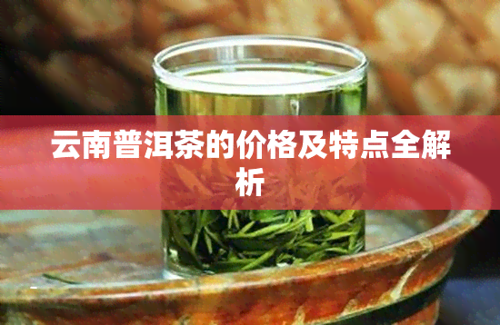 云南普洱茶的价格及特点全解析