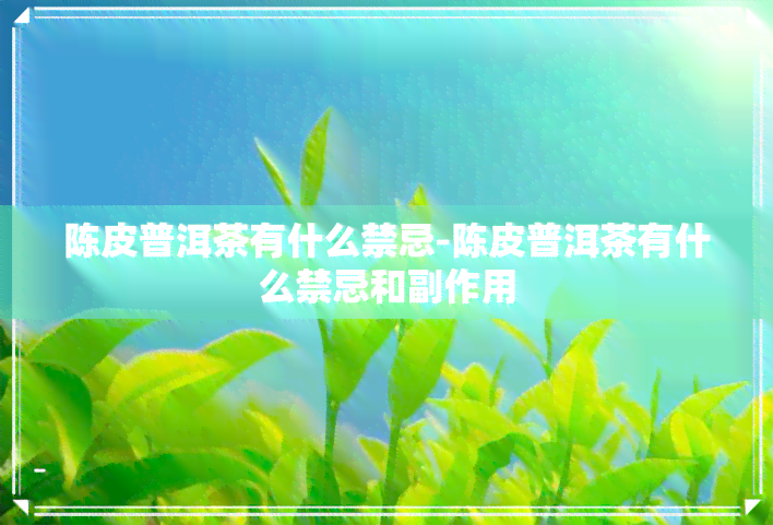 陈皮普洱茶有什么禁忌-陈皮普洱茶有什么禁忌和副作用