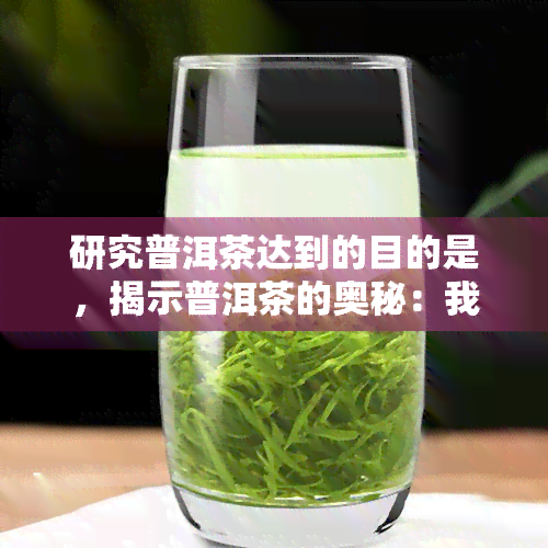 研究普洱茶达到的目的是，揭示普洱茶的奥秘：我们的研究目标是什么？