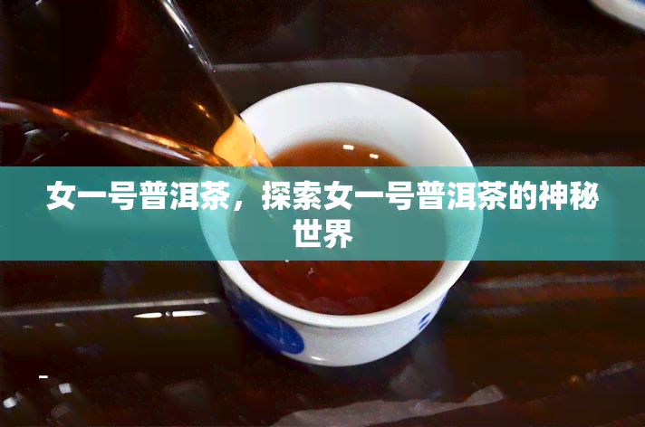 女一号普洱茶，探索女一号普洱茶的神秘世界