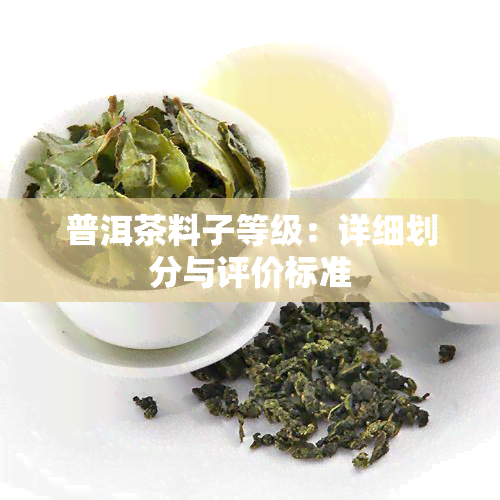 普洱茶料子等级：详细划分与评价标准