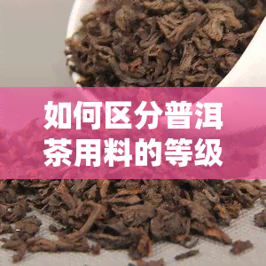 如何区分普洱茶用料的等级高低，普洱茶等级辨析：如何识别用料的优劣？