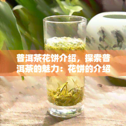 普洱茶花饼介绍，探索普洱茶的魅力：花饼的介绍与品尝指南