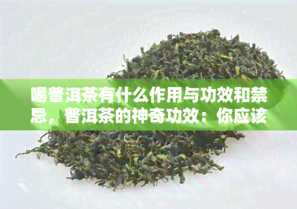 喝普洱茶有什么作用与功效和禁忌，普洱茶的神奇功效：你应该知道的作用、禁忌与正确饮用方法