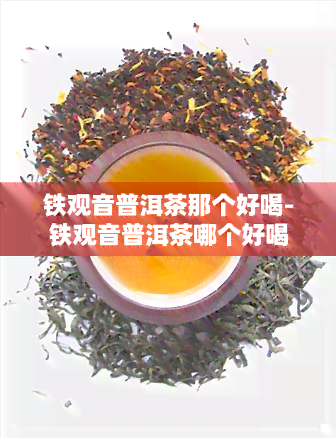 铁观音普洱茶那个好喝-铁观音普洱茶哪个好喝