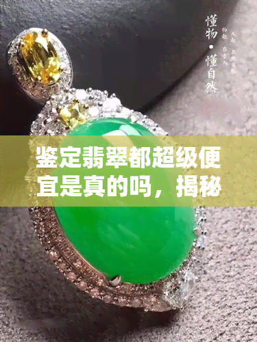 鉴定翡翠都超级便宜是真的吗，揭秘真相：鉴定翡翠是否真的超级便宜？