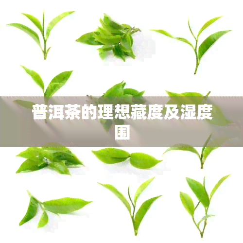 普洱茶的理想藏度及湿度围