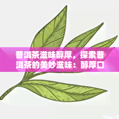 普洱茶滋味醇厚，探索普洱茶的美妙滋味：醇厚口感的奥秘