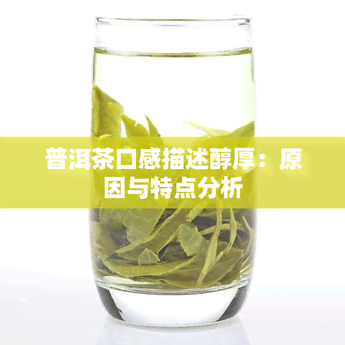 普洱茶口感描述醇厚：原因与特点分析