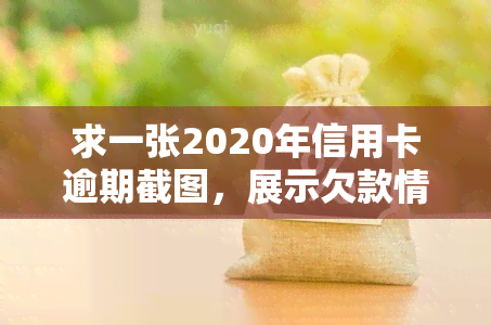 求一张2020年信用卡逾期截图，展示欠款情况