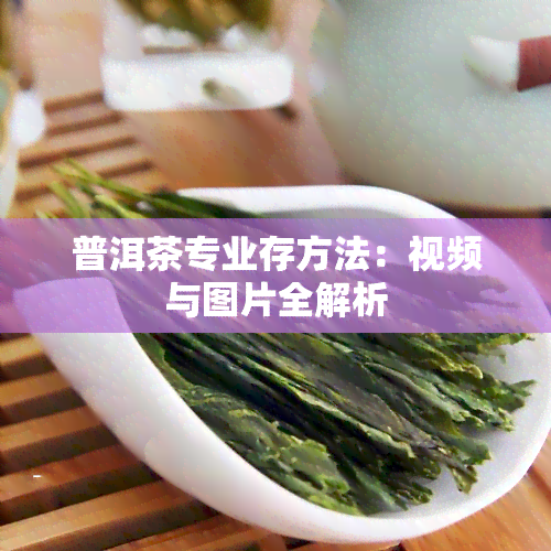 普洱茶专业存方法：视频与图片全解析