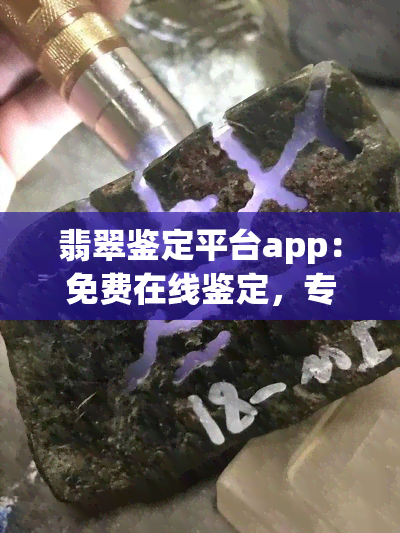 翡翠鉴定平台app：免费在线鉴定，专业权威，便捷高效