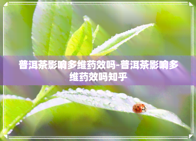 普洱茶影响多维效吗-普洱茶影响多维效吗知乎