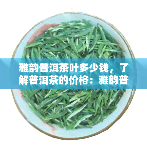 雅韵普洱茶叶多少钱，了解普洱茶的价格：雅韵普洱茶叶多少钱？