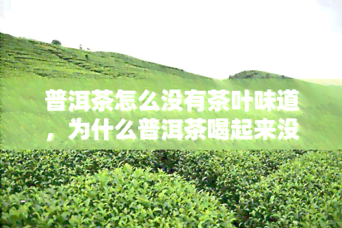 普洱茶怎么没有茶叶味道，为什么普洱茶喝起来没有茶叶的味道？