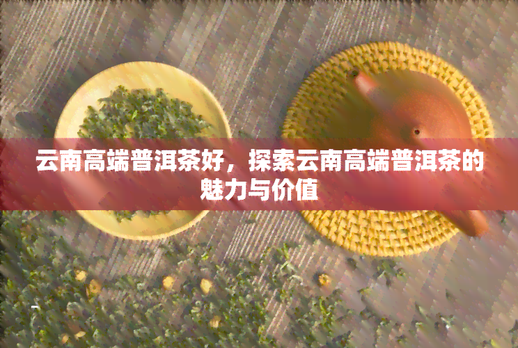 云南高端普洱茶好，探索云南高端普洱茶的魅力与价值