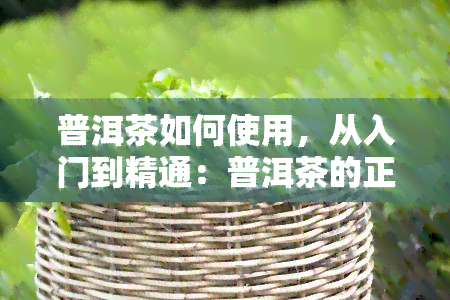 普洱茶如何使用，从入门到精通：普洱茶的正确泡法与使用技巧