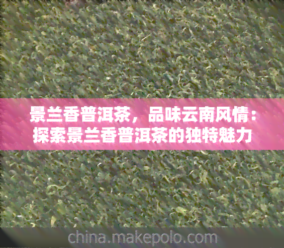 景兰香普洱茶，品味云南风情：探索景兰香普洱茶的独特魅力