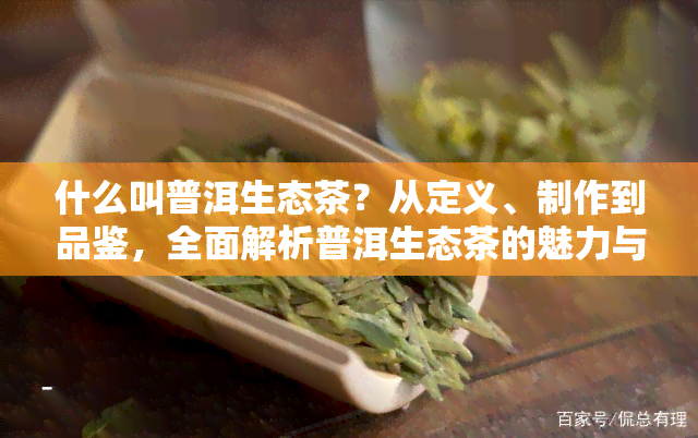 什么叫普洱生态茶？从定义、制作到品鉴，全面解析普洱生态茶的魅力与特点