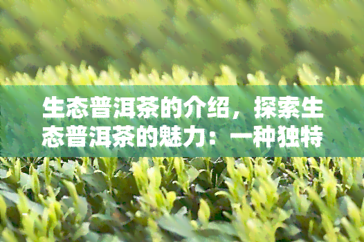 生态普洱茶的介绍，探索生态普洱茶的魅力：一种独特的茶叶体验