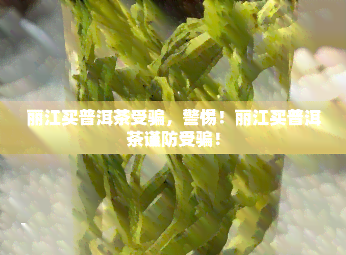 丽江买普洱茶受骗，警惕！丽江买普洱茶谨防受骗！