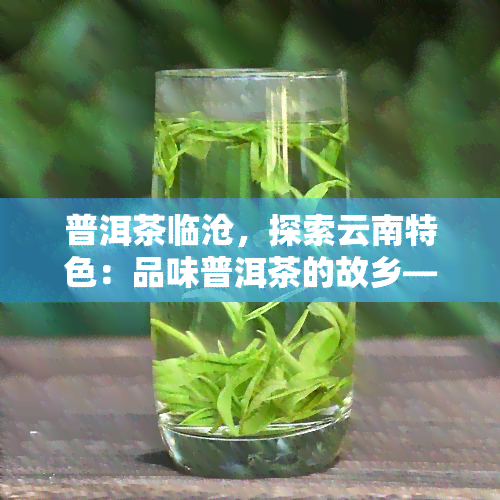 普洱茶临沧，探索云南特色：品味普洱茶的故乡——临沧