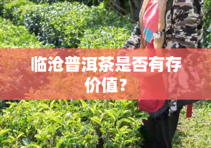 临沧普洱茶是否有存价值？