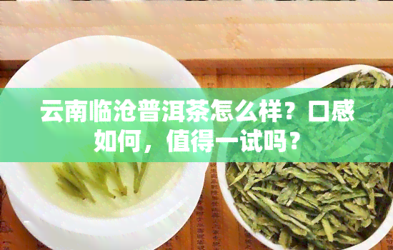 云南临沧普洱茶怎么样？口感如何，值得一试吗？