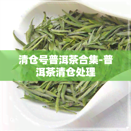 清仓号普洱茶合集-普洱茶清仓处理