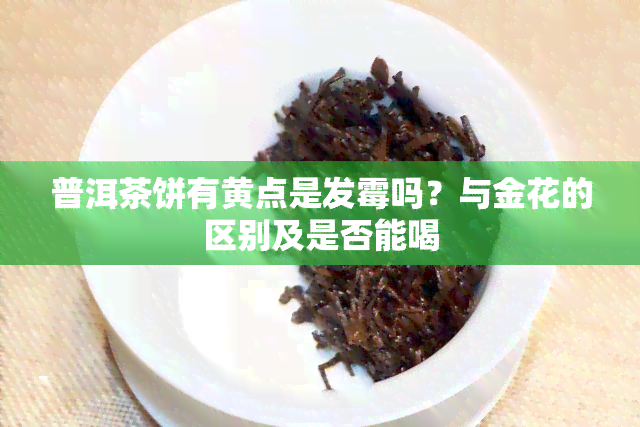 普洱茶饼有黄点是发霉吗？与金花的区别及是否能喝