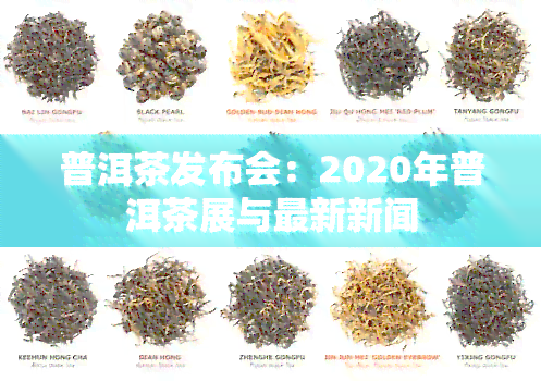 普洱茶发布会：2020年普洱茶展与最新新闻