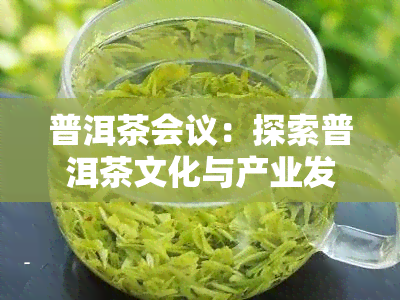 普洱茶会议：探索普洱茶文化与产业发展