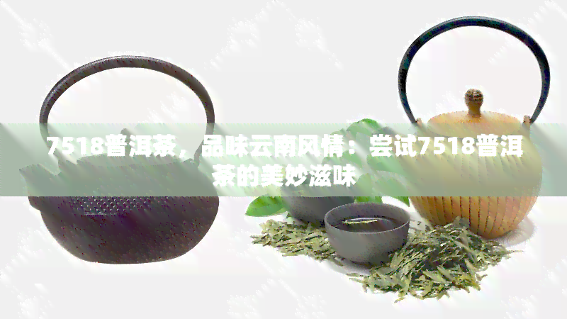 7518普洱茶，品味云南风情：尝试7518普洱茶的美妙滋味