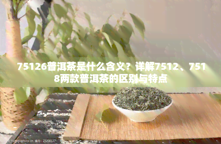 75126普洱茶是什么含义？详解7512、7518两款普洱茶的区别与特点