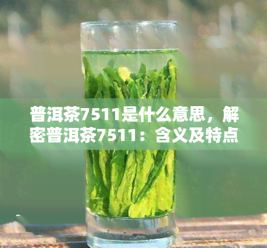 普洱茶7511是什么意思，解密普洱茶7511：含义及特点解析