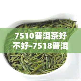 7510普洱茶好不好-7518普洱茶