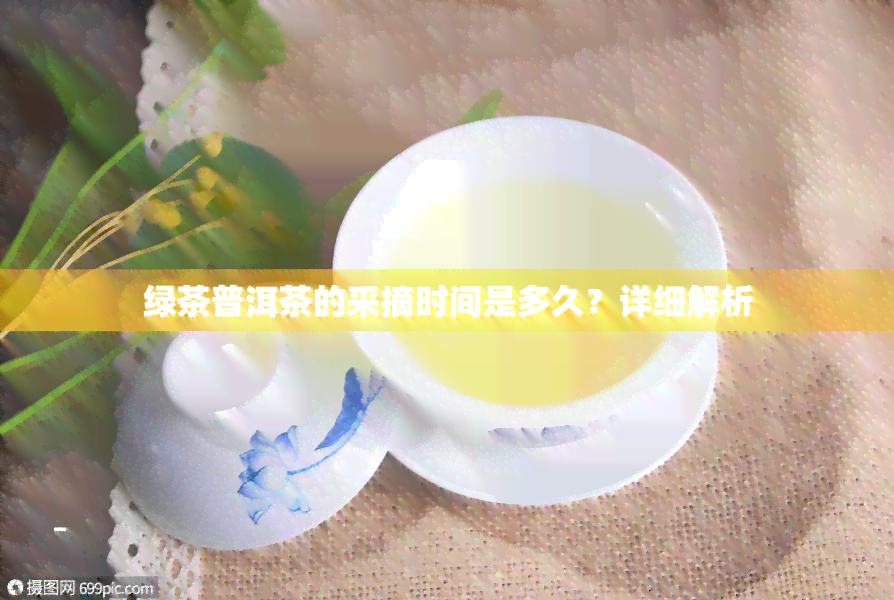 绿茶普洱茶的采摘时间是多久？详细解析