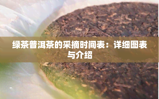 绿茶普洱茶的采摘时间表：详细图表与介绍