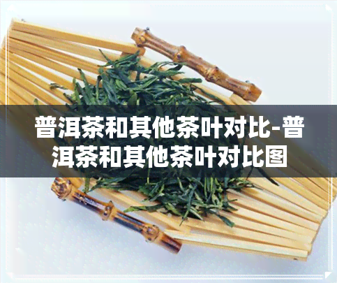 普洱茶和其他茶叶对比-普洱茶和其他茶叶对比图