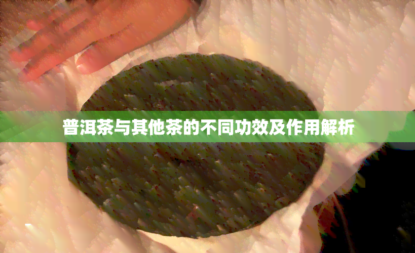 普洱茶与其他茶的不同功效及作用解析