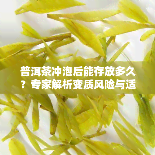 普洱茶冲泡后能存放多久？专家解析变质风险与适宜饮用时间