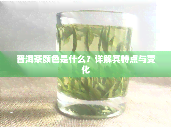 普洱茶颜色是什么？详解其特点与变化