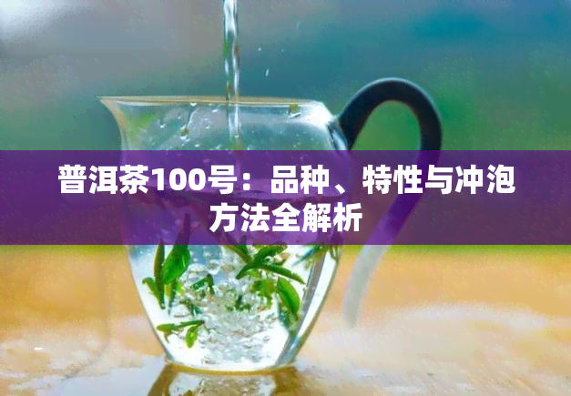 普洱茶100号：品种、特性与冲泡方法全解析