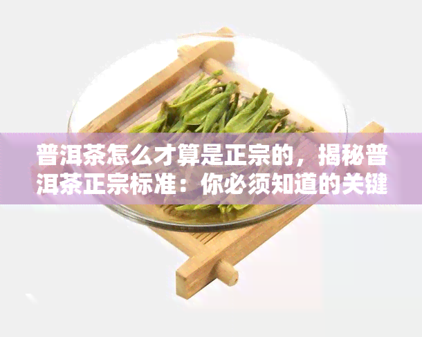 普洱茶怎么才算是正宗的，揭秘普洱茶正宗标准：你必须知道的关键要素