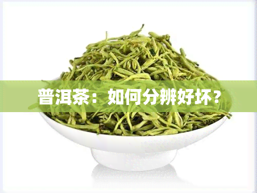 普洱茶：如何分辨好坏？