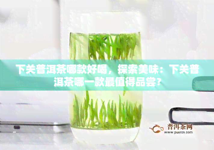 下关普洱茶哪款好喝，探索美味：下关普洱茶哪一款最值得品尝？